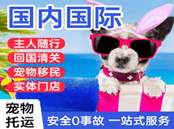 临沧博尚航空物流国际宠物托运 【国